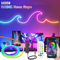 【LZ】 Smart Bluetooth RGBIC Neon Led Strip 5M 10M 12V Waterproof RGB IC Full Color Led Neon light Music Sync Bars Gaming Room Decor