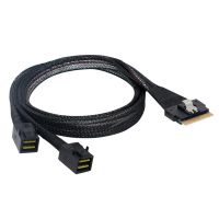 【DT】CY SAS Slim 4.0 SFF-8654 8i PCI-E Ultraport Slimline 74pin to Dual SFF-8643 4i Cable PCI-Express Mini SAS HD  hot