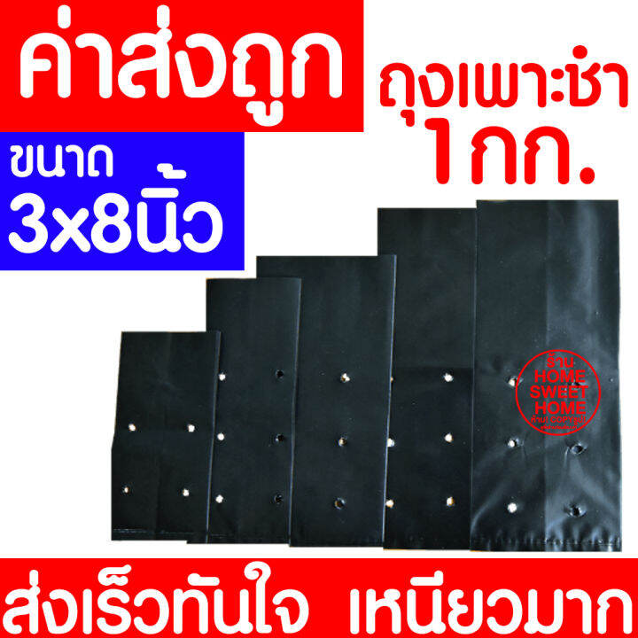 ค่าส่งถูก-ถุงเพาะชำ-3x8นิ้ว-1กก-ถุงเพาะ-ถุงเพาะกล้า-ถุงชำ-ถุงดำเจาะรู-ถุงปลูกต้นไม้-เนื้อมัน-เหนียว-หนา-ถูกที่สุด