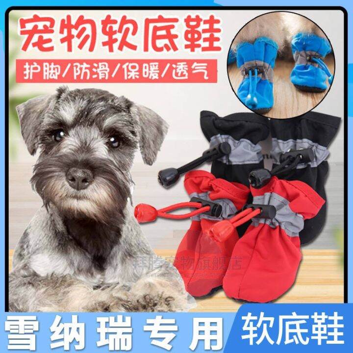 Schnauzer shoes on sale