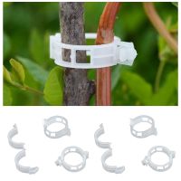 50PCS Plant Support Garden Clips for Vine Vegetables Tomato Trellis Makes Vegetables to Grow Upright