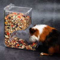 Hamster Rabbit Chinchilla Food Dispenser Feeder Plastic Clear Automatic Pet Feeder for Guinea Pigs Food Bowl Container