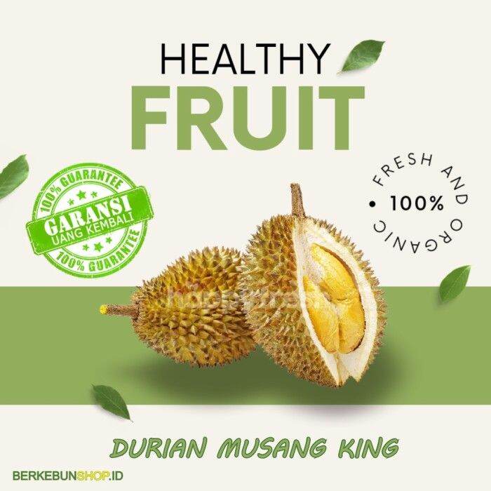 Bibit Durian Musang King Durian Musangking Durian Raja Kucing Import