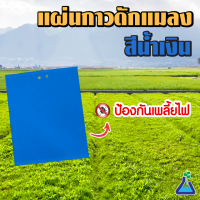 แผ่นกาวดักแมลง (สีฟ้า) ขนาด 20 x 25 เซนติเมตร จำนวน 1 แผ่น Blue Sticky Trap 20 x 25 cms 1 pcs