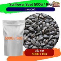 ทานตะวันดำ 3เจ Black Sunflower  อาหารนกและสัตว์ฟันแทะ (แบ่งขาย 500G / 1KG)