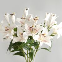 Real touch Lily Branch plastic Fake Flower Wedding Party Decoration Photography Props deco mariage fleurs artificielles