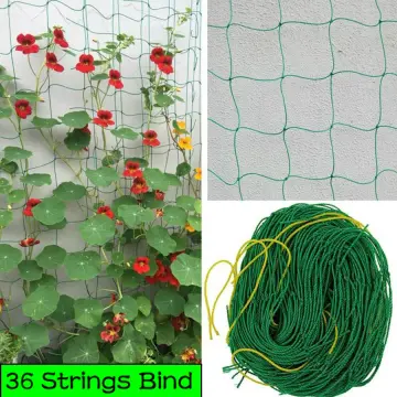 Shop Green Garden String online - Feb 2024