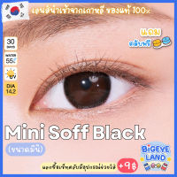 คอนแทคเลนส์ Mini Soff Black (Kitty Kawaii) ขนาดมินิ ?เนียน ธรรมชาติ คอนแทคเลนส์สีดำ