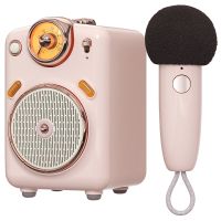 Divoom Fairy-OK Portable Bluetooth Speaker with Microphone Karaoke Function with Voice Change, FM Radio