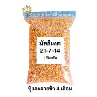 มาใหม่ !!! มัลติเทค สูตร 24-7-14 บำรุงการเจริญเติบโตระยะแรก เร่งการแตกหน่อแตกใบ-ขนาดบรรจุ 1 กิโลกรัม