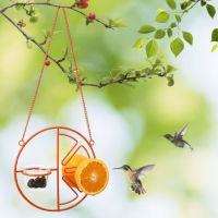 กลางแจ้ง Feeder Bird สำหรับให้อาหารกลางแจ้ง Feeder Caged Feeder Non Freezing Hummingbird Feeder แก้ว Hummingbird Feeders กับ Moat