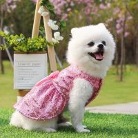 Pet Girl Dog Dress  Cute Sequined Bow Two-leg Wedding Dress In Spring Summer  Small and Medium Chihuahua French Bulldog Clothes Dresses