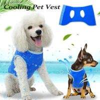 Summer Dog Cooling Vest Clothes Breathable Pet Cooling Coat Cooler Jacket Puppy Cooling Clothes For Small Medium Large Dogs Clothing Shoes Accessories