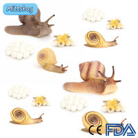 Hot DIY Growth Cycle Reptiles Snails PVC Actions Models Toy Figures Statics Model Educational toys for Children Ornaments Gifts