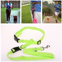 Great Easy Adjustable Handsfree Dog Pet Walking Running Jogging Lead Leash Waist Belt Chest Strap Gift Hot Sale Collars