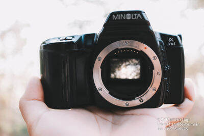 ขายกล้องฟิล์ม Minolta a3xi serial 55205086 Body Only