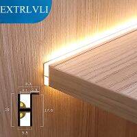 【CC】 Built-in Strip Cabinet Layer Shelf 18mm Panel Lamp 12V Invisible Up Down Beam Cupboard Bookcase Backlight