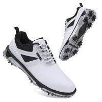 Professional Golf Shoes for Men Comfortable Outdoor Spikeless Golf Training Sneakers for Men