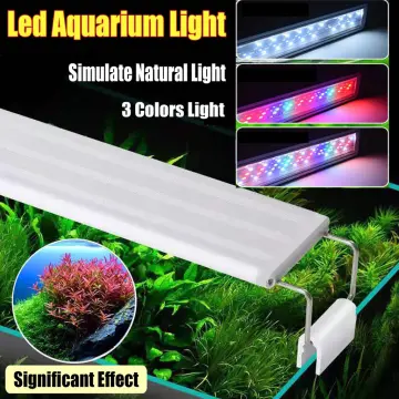 Buy Aquarium Led Lights Blue online Lazada .ph