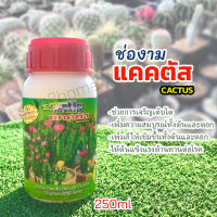 แคคตัส ช่องาม 250ml วิตามินใช้บำรุงแคคตัสเพิ่มความสมบูรณ์ทั้งต้น หนามและดอก เร่งการเจริญเติบโต ช่วยเคลื่อนย้ายธาตุอาหารที่จำเป็น