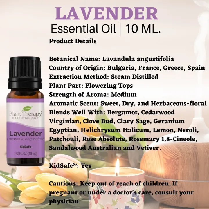 Lavender Essential Oil (10 ml) | Plant Therapy | Pure | Aromatherapy ...