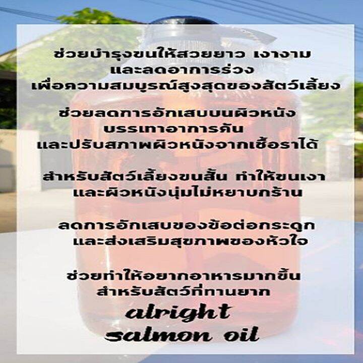 น้ำมันปลาแซลมอนแท้-premium-salmon-oil-for-pet-100-สำหรับสัตว์เลี้ยง-บำรุงขน-สุนัข-หมา-แมว