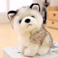 Simulation Husky Plush Toy Doll Doll Cute Dog Small Birthday Gift Female Ragdoll Children