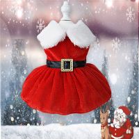 Christmas Dog Dresses For Small Dogs Clothes Summer Christmas Cosplay Cat Pet Dog Dress Fancy Princess Puppy Dress Dresses