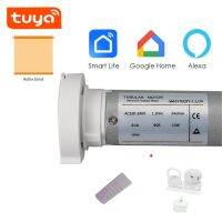 Tuya GM25TEQ+Brackets+DC2760,Smart wifi Rolling Tubular Motor,Rf433 Remote,Voice Control by Alexa/Google Home,for Dia 38mm Tube