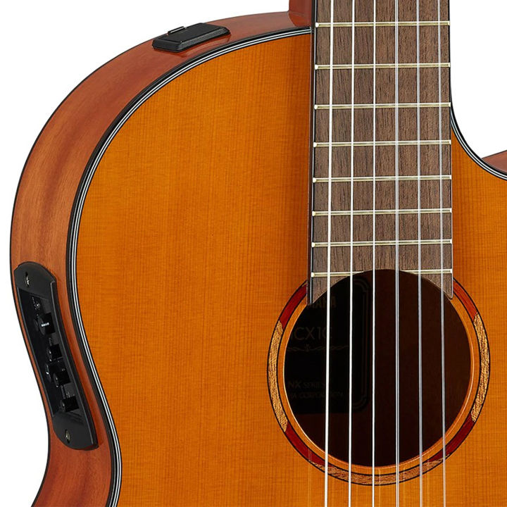 fantasia-c42-acoustic-guitar-spruce-linden-beginner-guitar