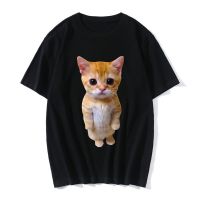 Funny El Gato Meme Sad Crying Cat Munchkin Kitty 3D Print Women Cal T-Shirt Summer Harajuku T Shirts Cal Fashion Clothes