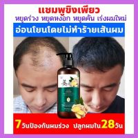 แชมพู หายจริง แชมพูขิงเพียวZENSHOW หยุดร่วง หยุดหงอก หยุดคัน  เร่งผมใหม่ ขนาด 500 มล. สุดคุ้ม