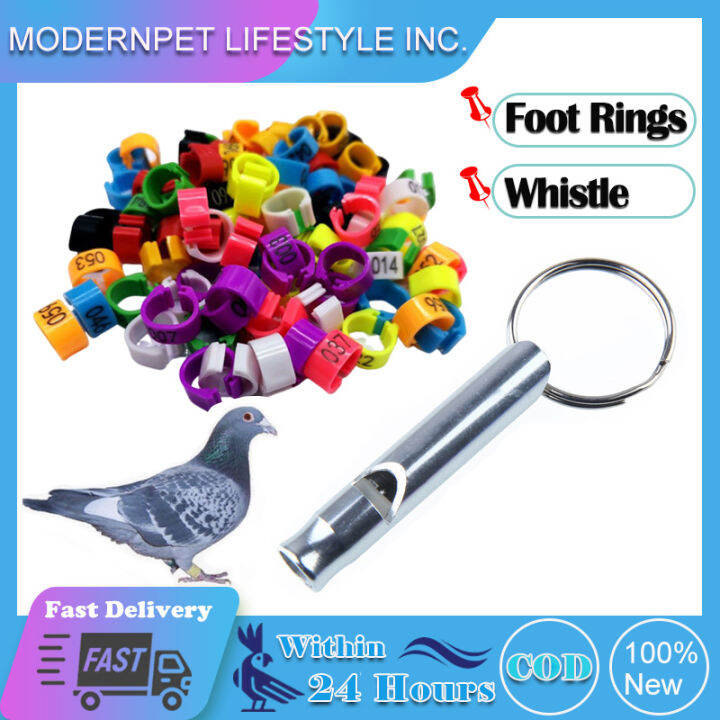 Pigeon Training Whistle with Parrot Plastic Leg Foot Identification