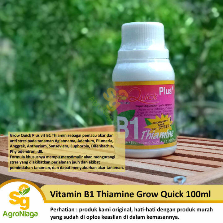 Vitamin B1 Tanaman Thiamine Grow Quick Kemasan 100 ml Asli Lazada