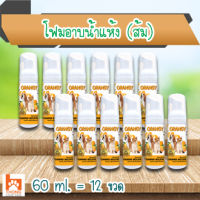 (ยกโหล) โฟมอาบน้ำแห้ง (สุนัข-แมว) กลิ่นส้ม ปลอดภัย เลียได้ 60 ml. (12 ขวด)