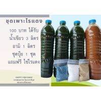 ds08 อุปกรณ์ อาหาร เสื้อผ้า สำหรับสัตว์เลี้ยง [ส่งทุกวัน]chlorella 100 % ชุดเพราะ ไรเเดง น้ำเขียว 200 sell ฤดูสินค้าราคาถูก