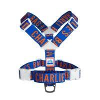 Charlies Backyard  TRIP HARNESS / BLUE  สายคล้อง สายรัดอก อุปกรณ์สัตว์เลี้ยง ยี่ห้อ Charlies Backyard รุ่น Trip สีน้ำเงิน สินค้าสัตว์เลี้ยงเกาหลี