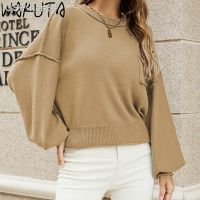 Wakuta Lanterna แมนกาลองกา Sólida Camisola Feminina Outono 2023 Moda Vinto O Pullovers Todos Os Os Jogos SOLO TO De Malha Topos