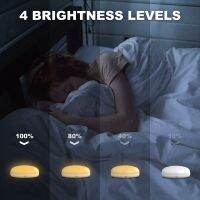 Loud Digital Alarm Clock for Heavy Sleepers Adults with Bed Shaker,2 USB Charger, Adjustable LED Light, Snooze, Alarm