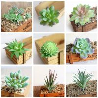 39Styles Green Flocked Artificial Succulent Plants Home Garden Bedroom Hotel Christmas Halloween Wedding Party Decor Fake Plants