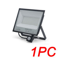 LED Induction Floodlights PIR Motion Sensor 30W 50W 100W 220V Cold White Waterproof IP66 Outdoor Rainproof Lighting