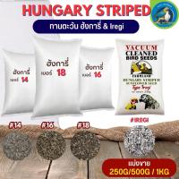 Hungary ทานตะวัน ฮังการี่นอก#14 16 18 iregi (แบ่งขาย 250G/500G/1KG) สำหรับนกและสัตว์ฟันแทะ