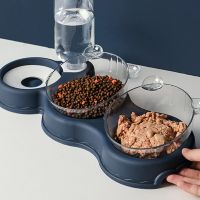 Pet Cat Bowl Automatic Feeder 3-in-1 Cat Dog Food Bowl with Water Fountain Double Bowl Drinking Raised Stand Dish Dog Bowls