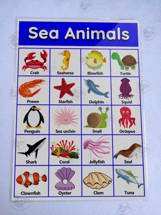 Sea Animals Laminated Educational Chart (A4) Mga Hayop sa Dagat Wall