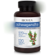 BIOVEA  ASHWAGANDHA 570 mg / 120 Vegetarian Tablets