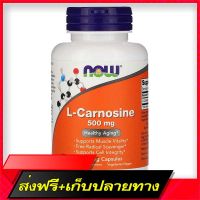 Fast and Free Shipping Now Foods, L-Carnosine, 500 mg, 100 Vcaps Ship from Bangkok