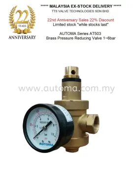 2-1/2 Inch Adjusting Water Pressure Regulator