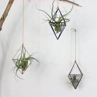 freestanding Hanging Planters Decorative Swinging Flower Basket Tillandsia Air Plants Holder Triangular Shaped Metal Rack Bag Accessories