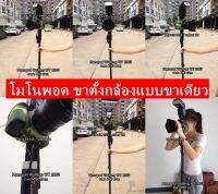 Monopod Weifeng WT 1003 สินค้าใหม่มือ 1 พร้อมส่ง คร้าา