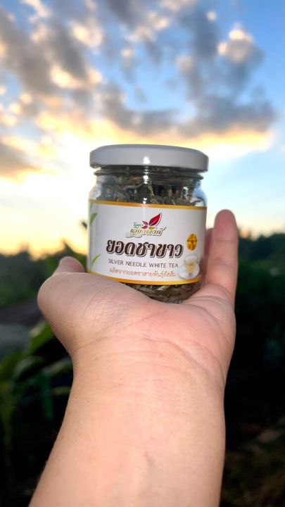 ชาขาว-white-tea-ขนาดบรรจุ-20-กรัม-ไม่รวมน้ำหนักขวดแก้ว-ชาอัสสัม-ชาดอยลาง-ชาป่า-ของไทยไม่ได้นำเข้าจากจีน-ของมีจำนวนจำกัด-ผลิตจากตูมและยอดอ่อนของต้นชา-ยอดชาขาวอัสสัม-ปลูกโดยไร้สารเคมี-สุดยอดชา-มีกลิ่นหอ